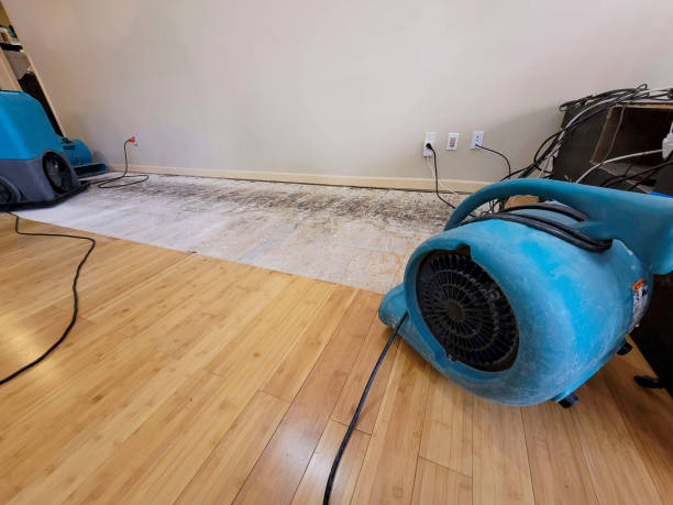 Professional Sewage Cleanup technician working in Smiley, TX